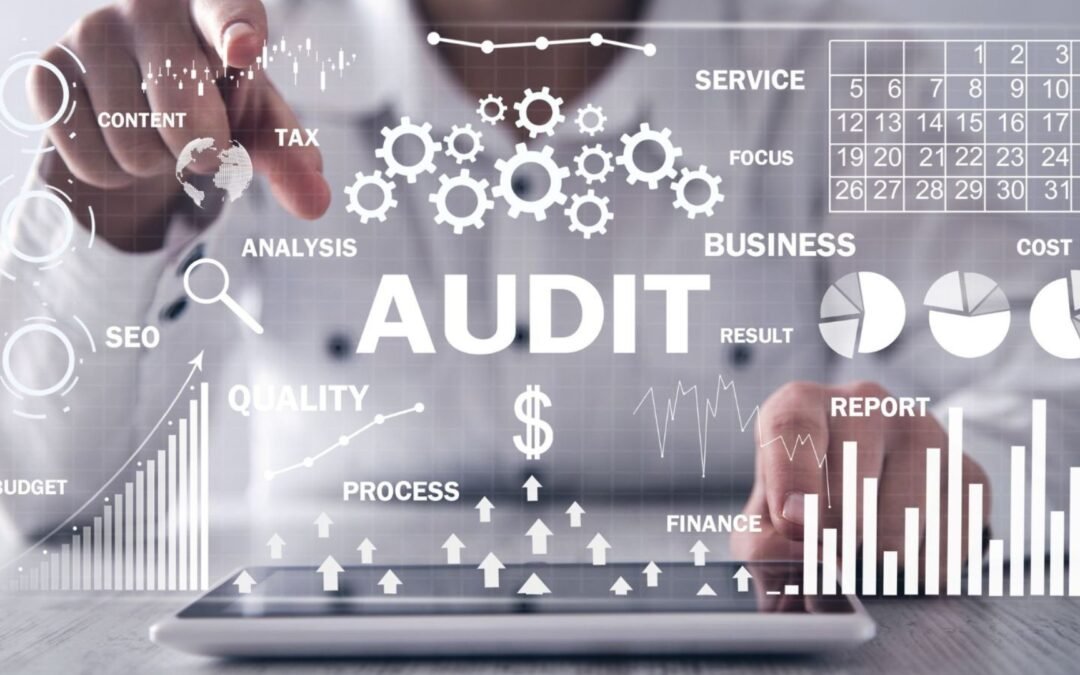 Audit IA entreprise en Guadeloupe – consultant Dr Page analysant données, coûts, process et performance sur interface tactile.
